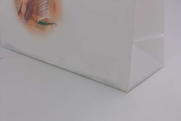 白色服裝手提PO廣告袋